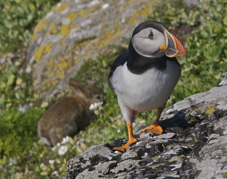 Nature Photography For Sale in Ireland